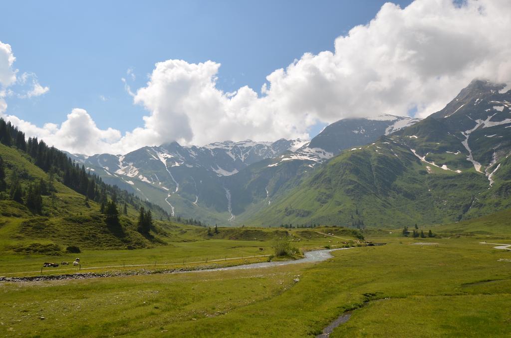 Winklers Gipfelblick Chalet, Inklusive Alpentherme - Ganzjaehrig, Gasteiner Bergbahn - Nur Sommer Бад Хофгащайн Екстериор снимка