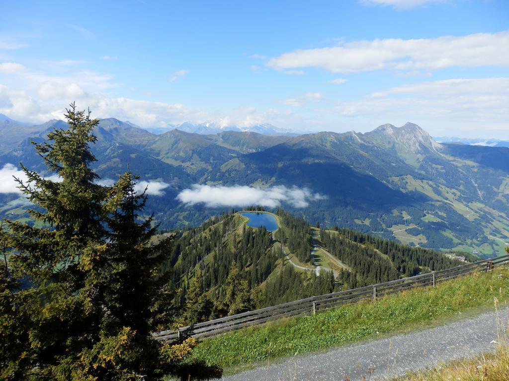 Winklers Gipfelblick Chalet, Inklusive Alpentherme - Ganzjahrig, Gasteiner Bergbahn - Nur Sommer Бад Хофгащайн Екстериор снимка